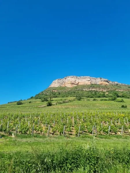 falaise maconnais